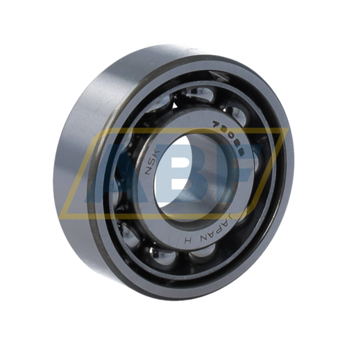 7302BW NSK