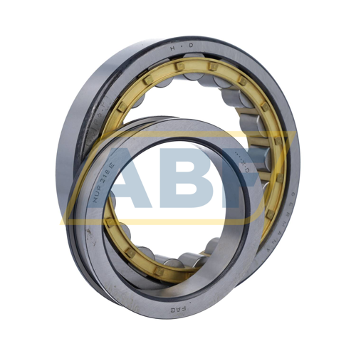 NUP218E.M1.P6.F1 FAG