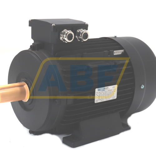 HMA2-132M1-6-B3 Hoyer