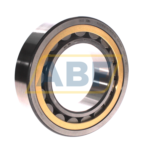 NJ2218-E-XL-MPAX-C4 FAG