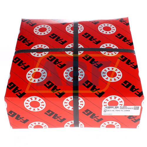 NJ320-E-XL-TVP2-F1-J20AA-C4 FAG