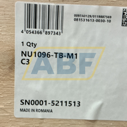 NU1096-TB-M1 FAG