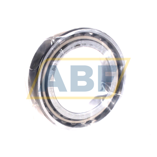 N1012-K-PVPA1-SP FAG