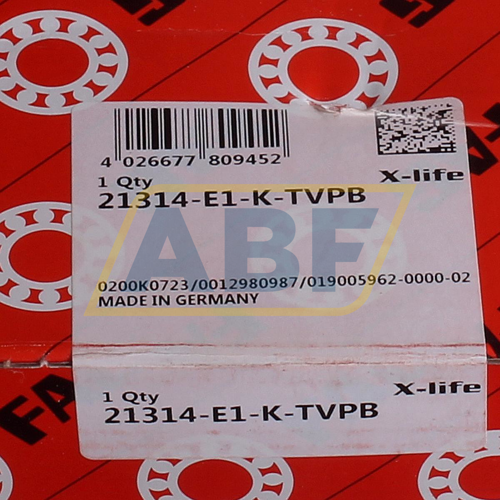 21314E1K.TVPB FAG
