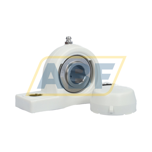 RASEY20-TV-VA-FD INA