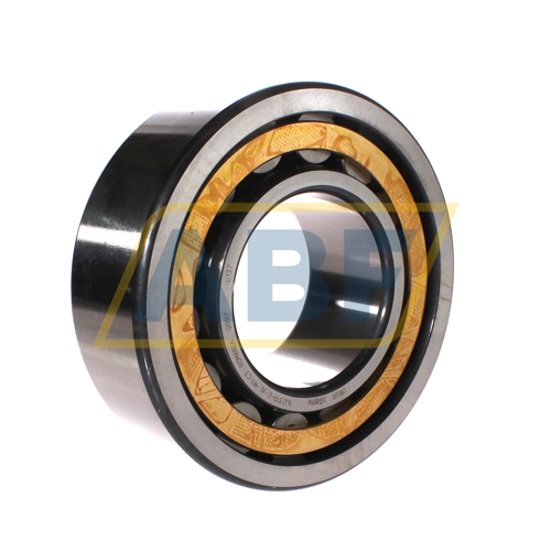 NJ2319-E-XL-M1-C3 FAG