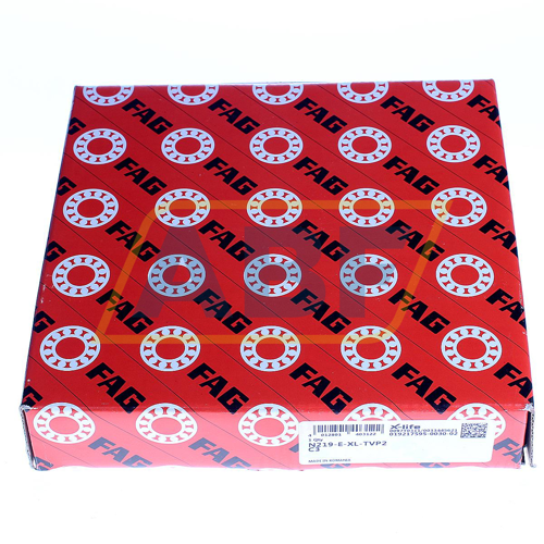 N219-E-XL-TVP2-C3 FAG