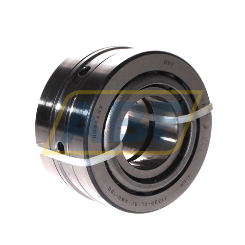 31309-XL-DF-A60-100 FAG