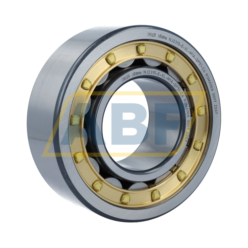 NJ2315-E-XL-M1A-QP51-C4 FAG