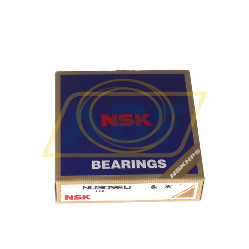 NU309EW NSK