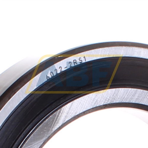 6022-2RS1 SKF