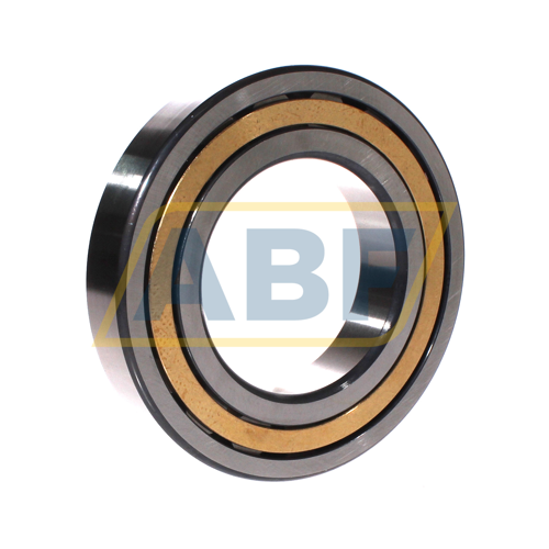 NJ218-E-XL-M1-C3 FAG