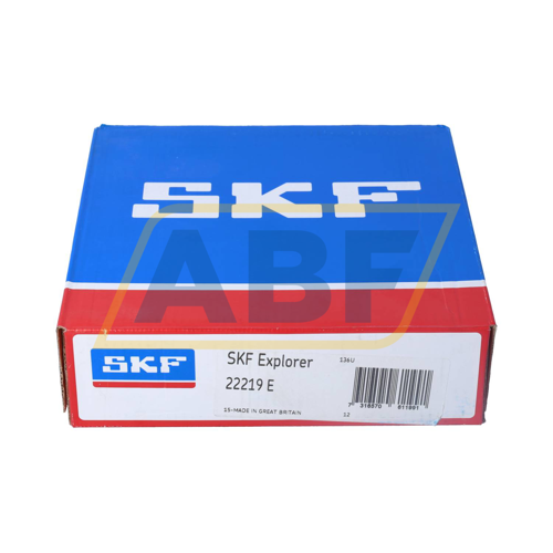 22219E SKF
