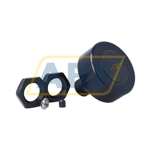 61804-2RS1 AKN