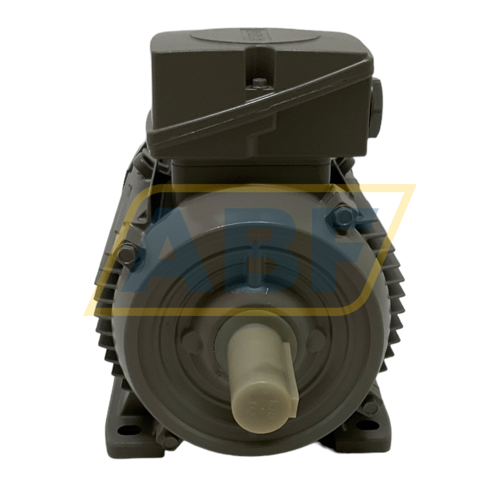 1LE1004-1AA42-2AA4 Siemens