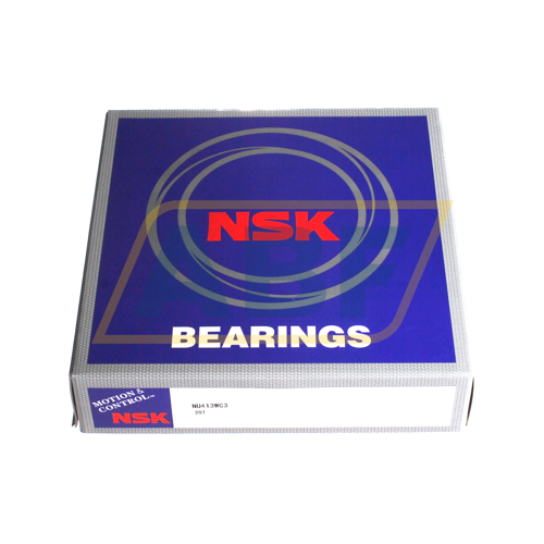 NU413WC3 NSK