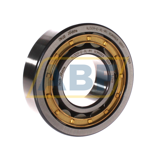 NJ309-E-XL-M1 FAG