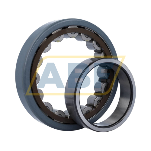 BX-NU221ECP/C3VL0241 SKF