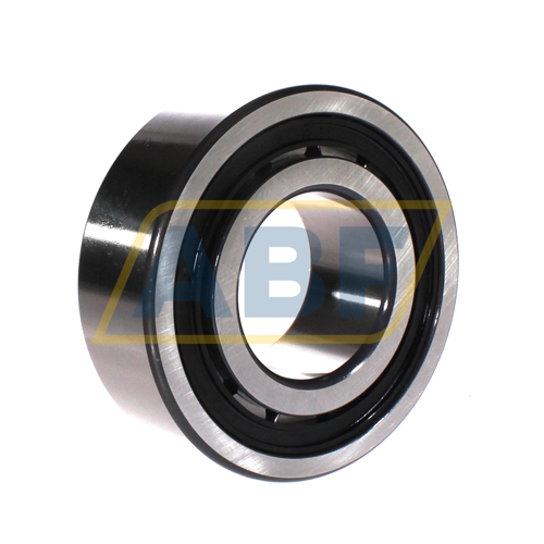 NJ2315-E-TVP2-C4-QP51 FAG