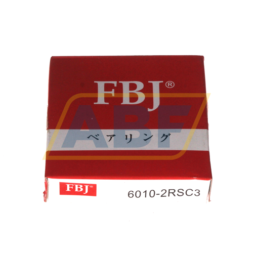 6010 2RS C3 FBJ