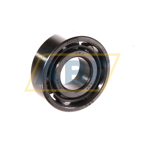 N202 SKF