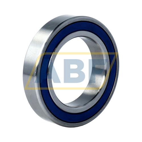 SS6010-2RS-NR Neutral