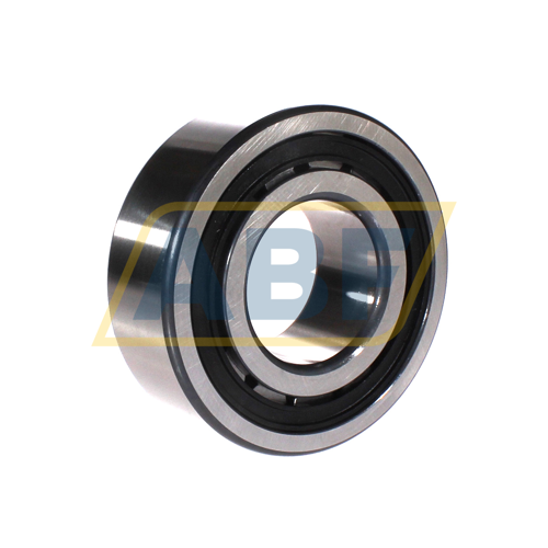 NJ2313-E-XL-TVP2-C3 FAG