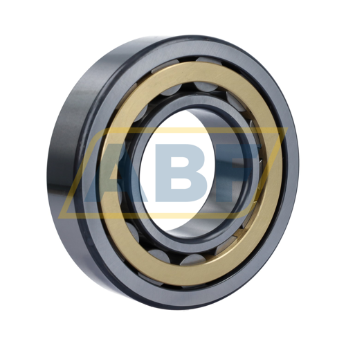 NU314-E-XL-M1-F1-C4 FAG