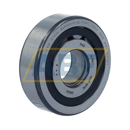 NUP303-E-XL-TVP2 FAG