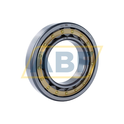 NU219-E-XL-M1-F1-C3 FAG