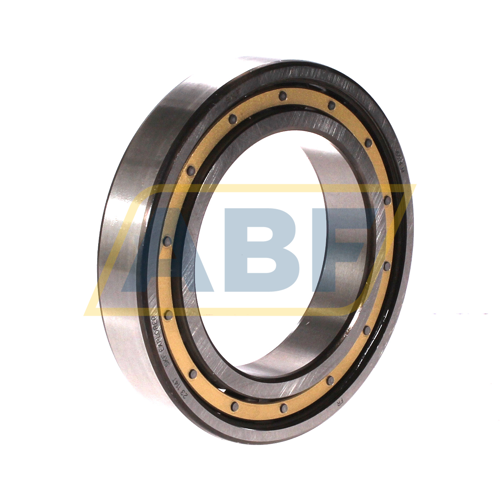 6014M SKF
