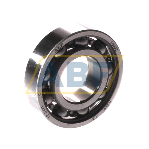 16002 SKF