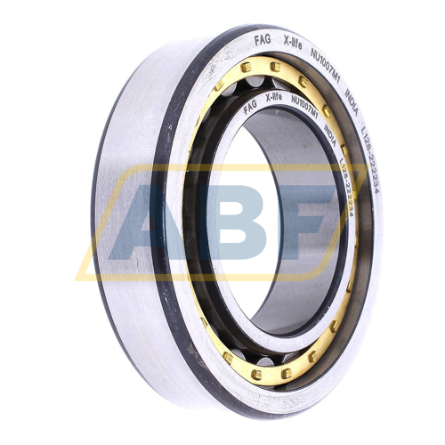 NU1007M1 FAG
