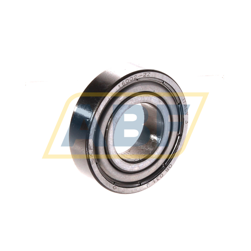 16002-2Z SKF