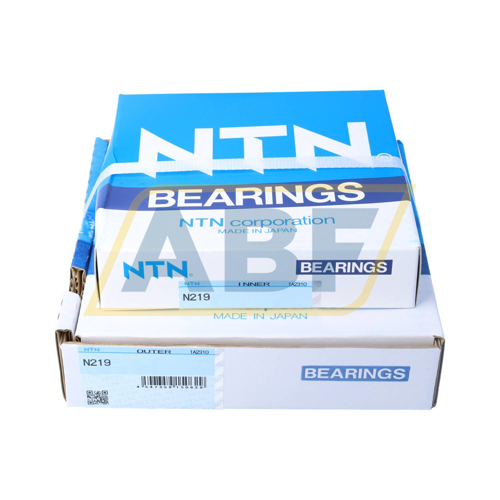 N219 NTN