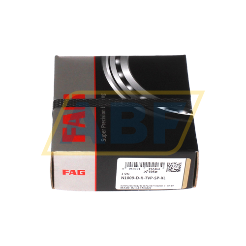 N1009-D-K-TVP-SP-XL FAG