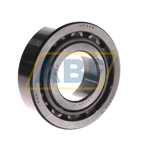 NF309W NSK