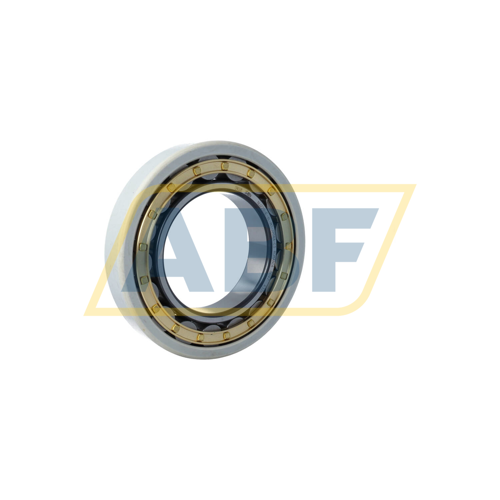 NU220-E-XL-M1-J20AA-C3 FAG