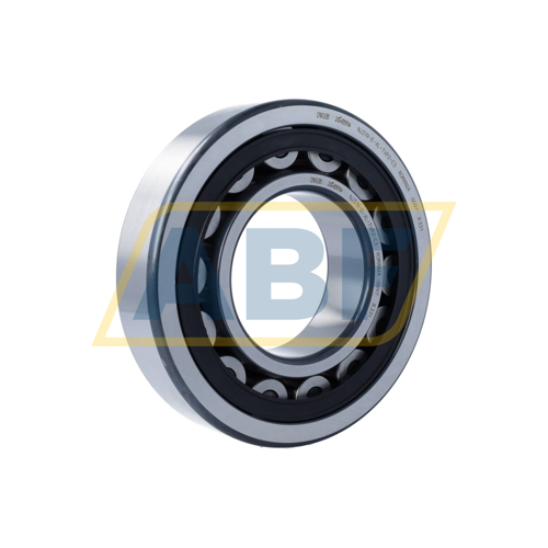 NJ319-E-XL-TVP2-C3 FAG