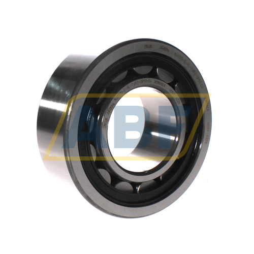 NJ2315-E-TVP2-C4-QP51 FAG