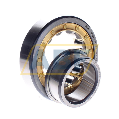 NJ310-E-XL-M1A-C3 FAG