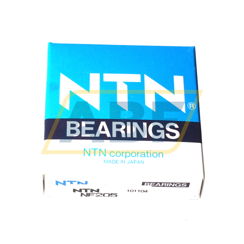 NF205 NTN