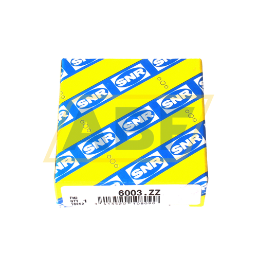 6003.ZZ SNR