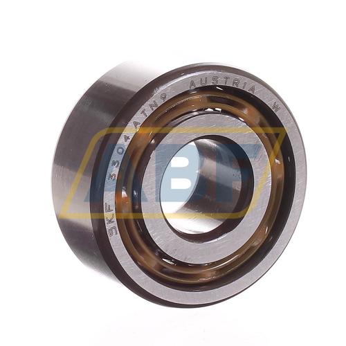 3304ATN9 SKF