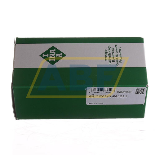 GG.CJT05-N-FA125.1 INA