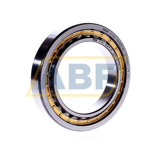 NU1015-M1 FAG