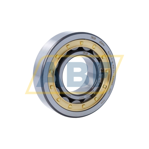 NJ309-E-XL-M1A-C4 FAG