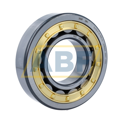 NJ313-E-XL-M1A-C4 FAG