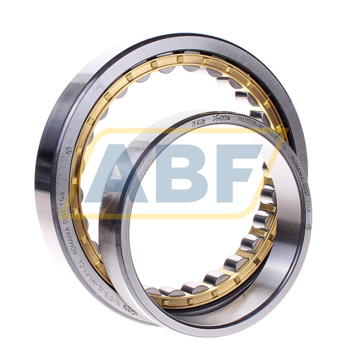 NU1019-XL-M1-F1-C4 FAG