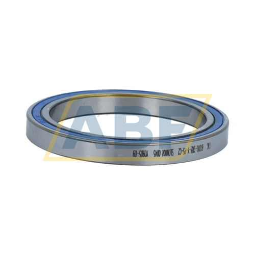 61810-2RZ-Y-P5-C2 FAG